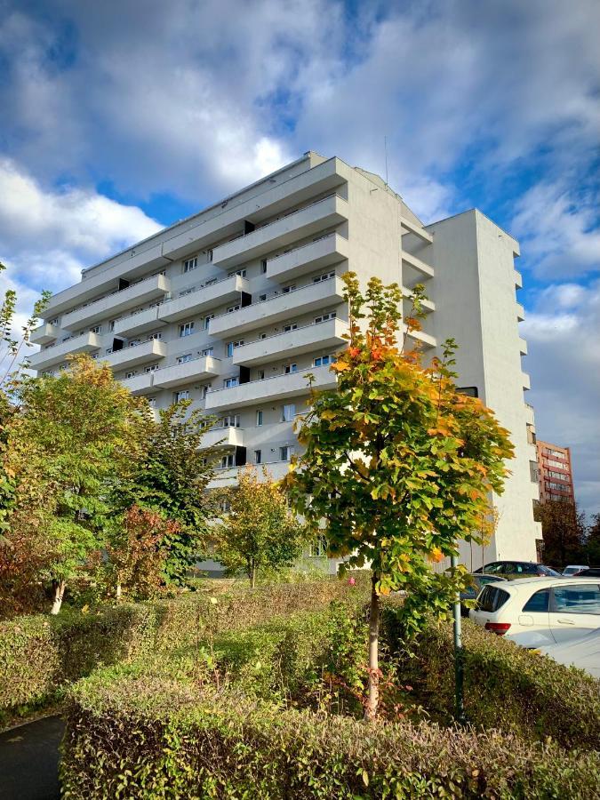 Blue Mountain Residence Brasov Bagian luar foto